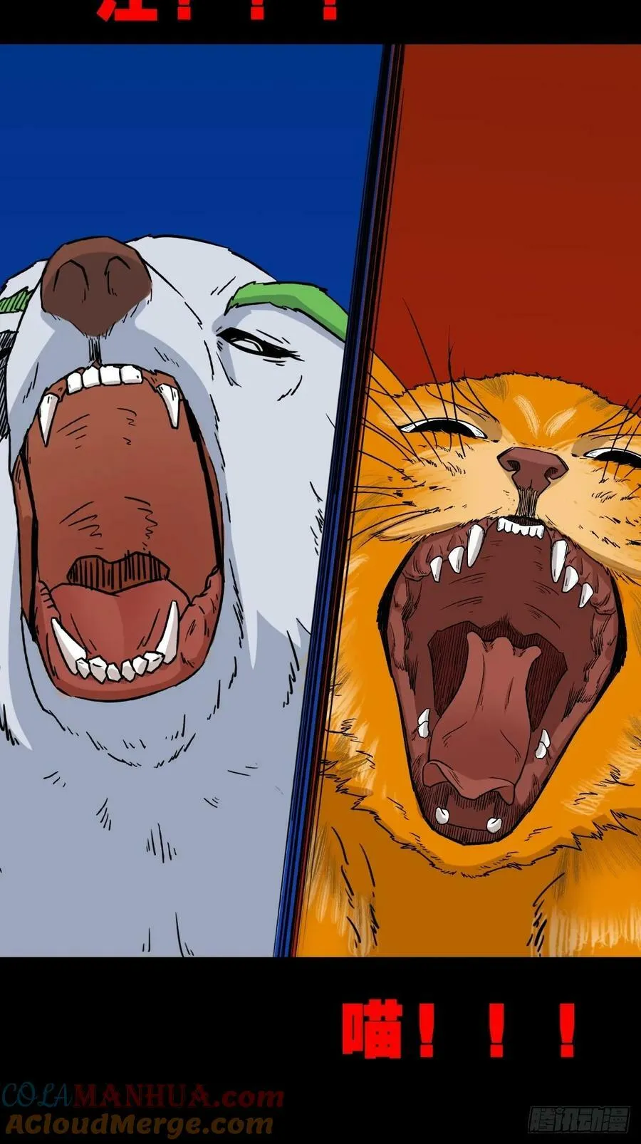 猫狗斗 第28页