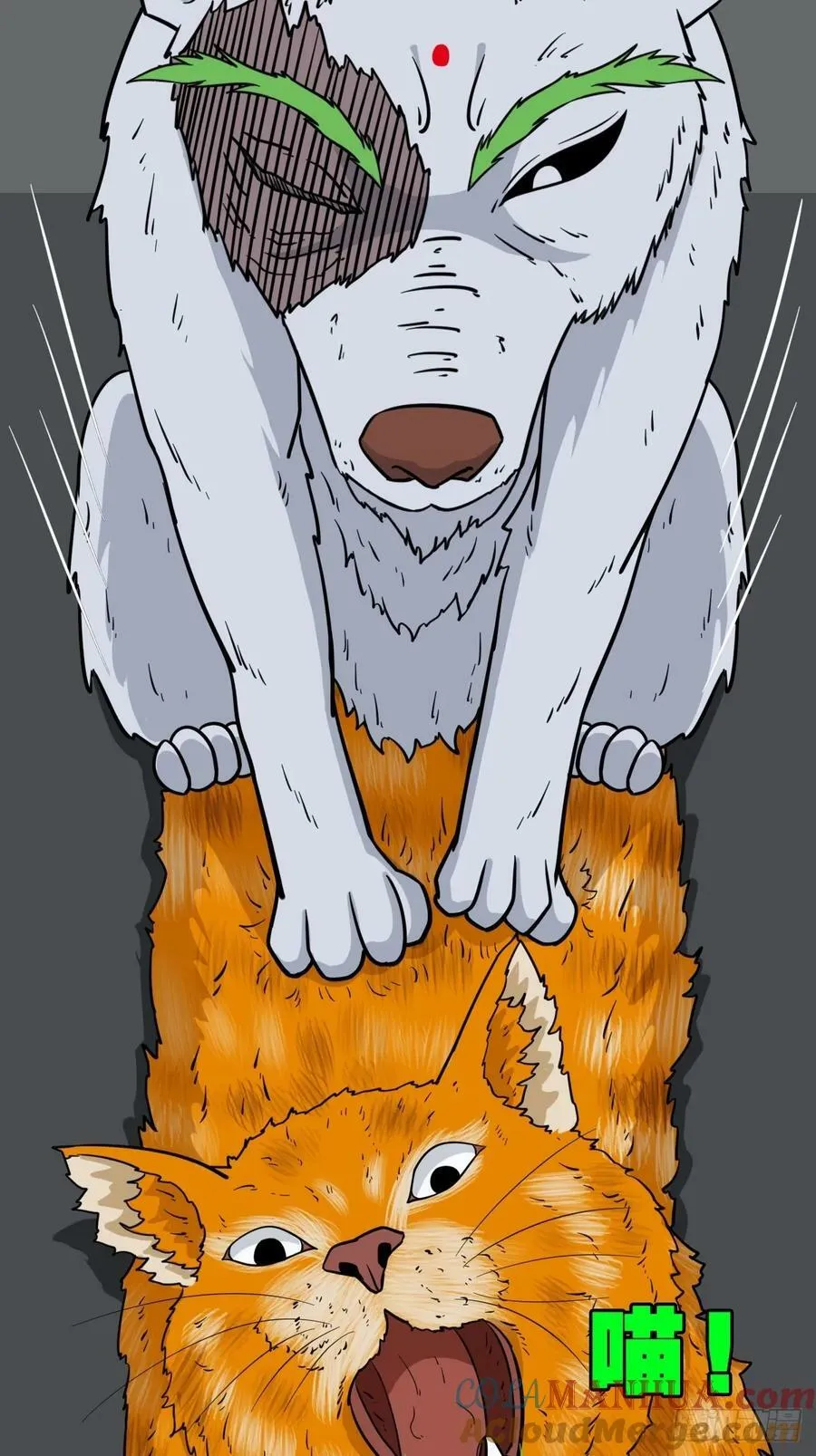 猫狗斗 第46页