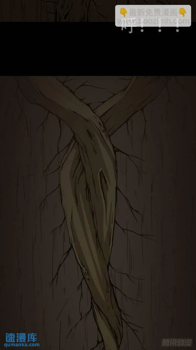 佛骨 第27页