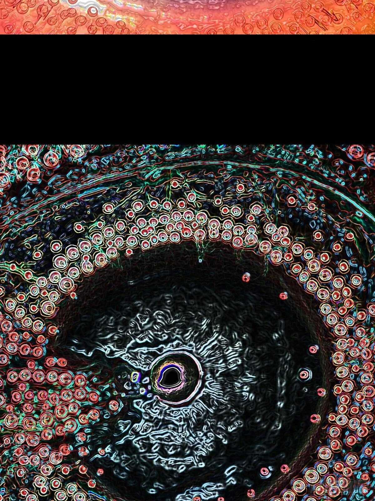 棱睁 第43页