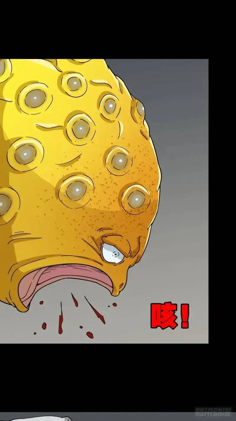 斗仙儿 第37页