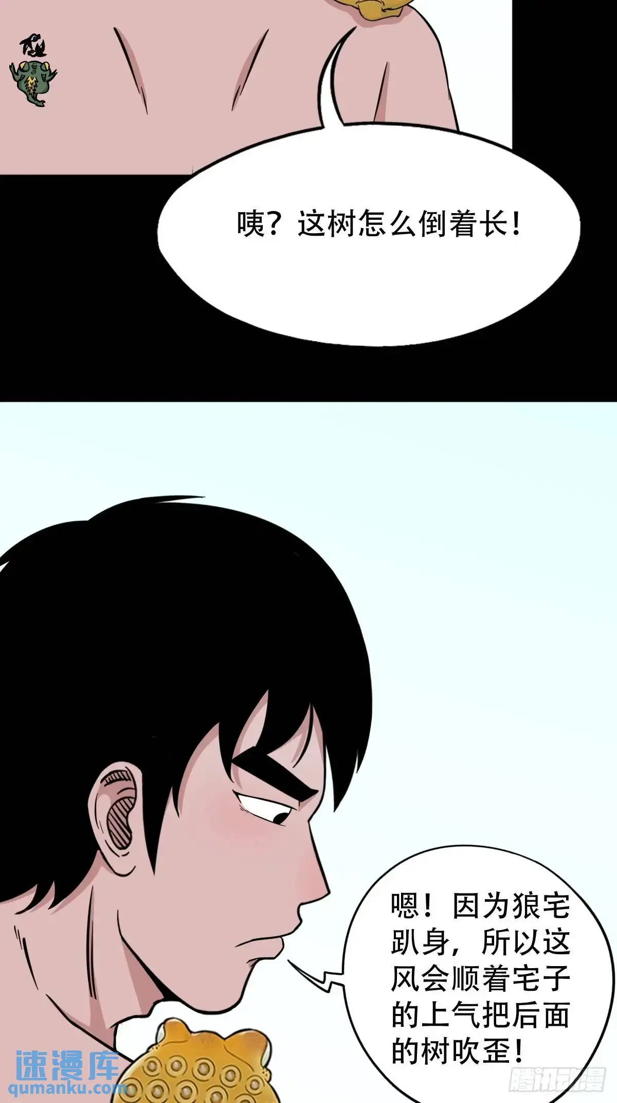 虎须镯 第13页