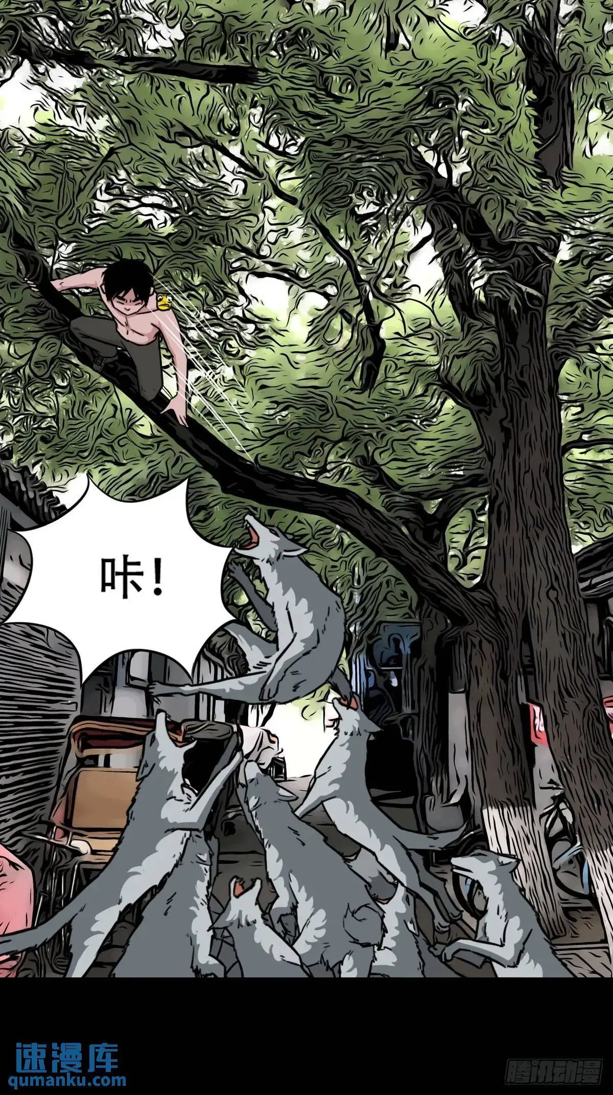 虎须镯 第23页