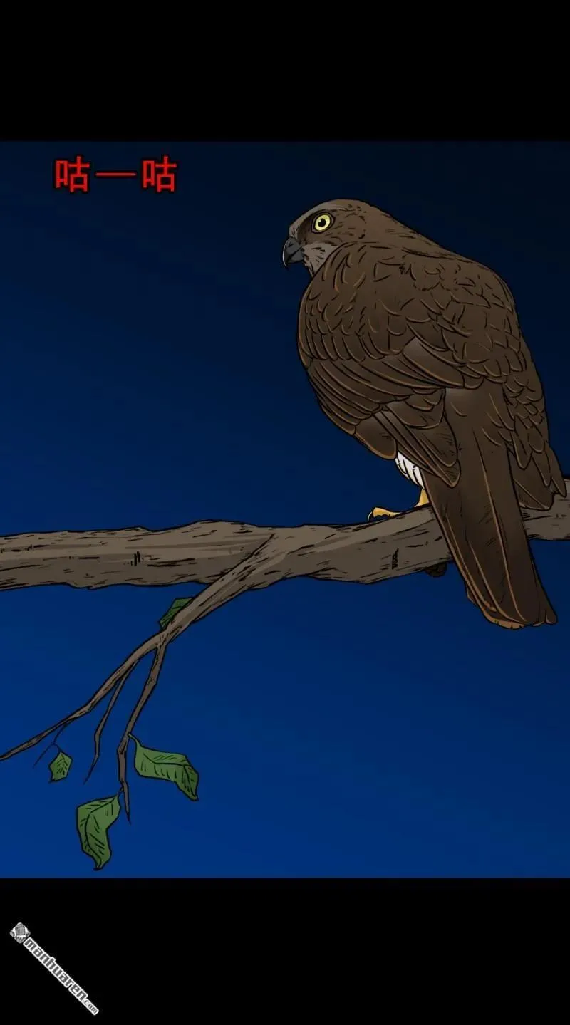 第245回 抚尘子 第15页