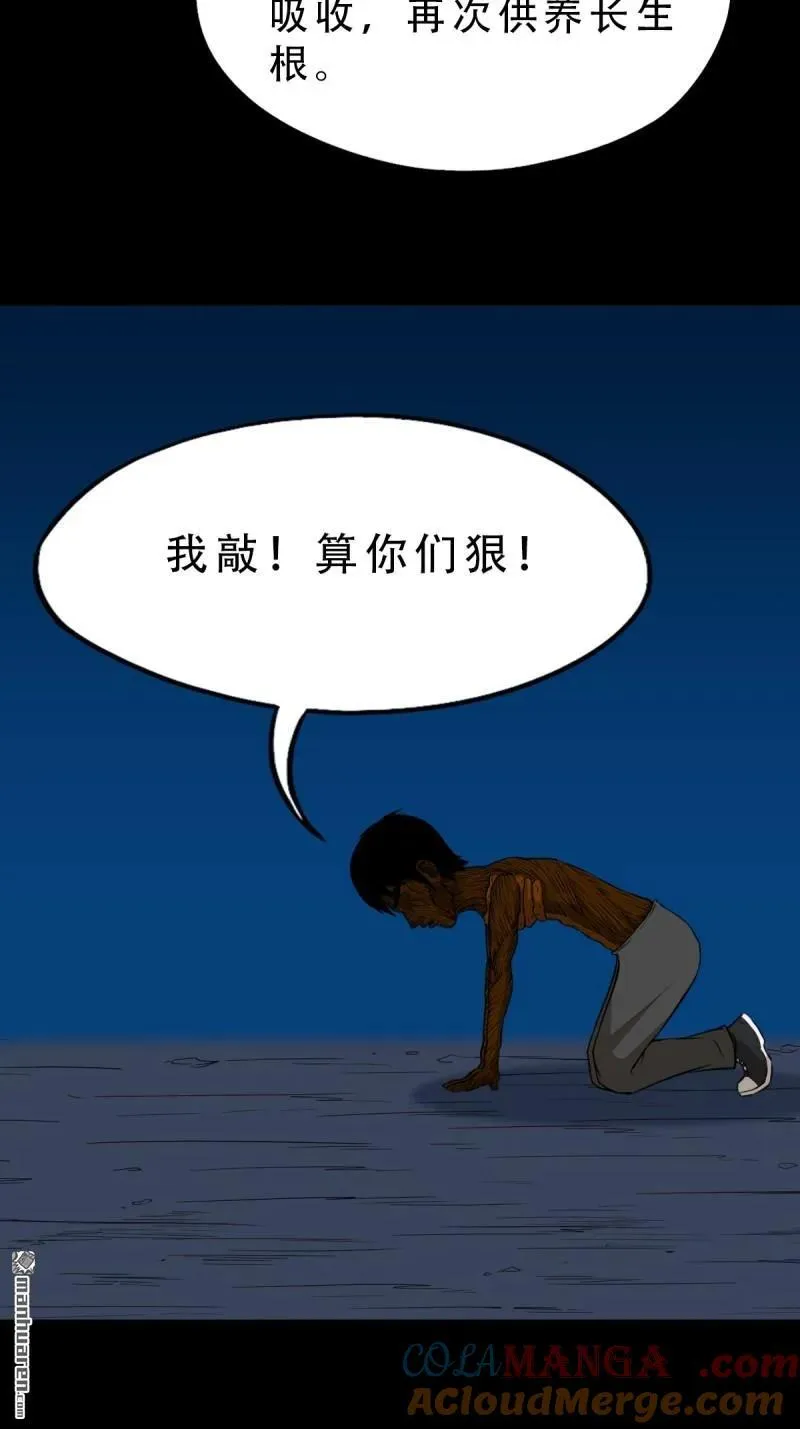 第259回 虚无了乾坤 第13页