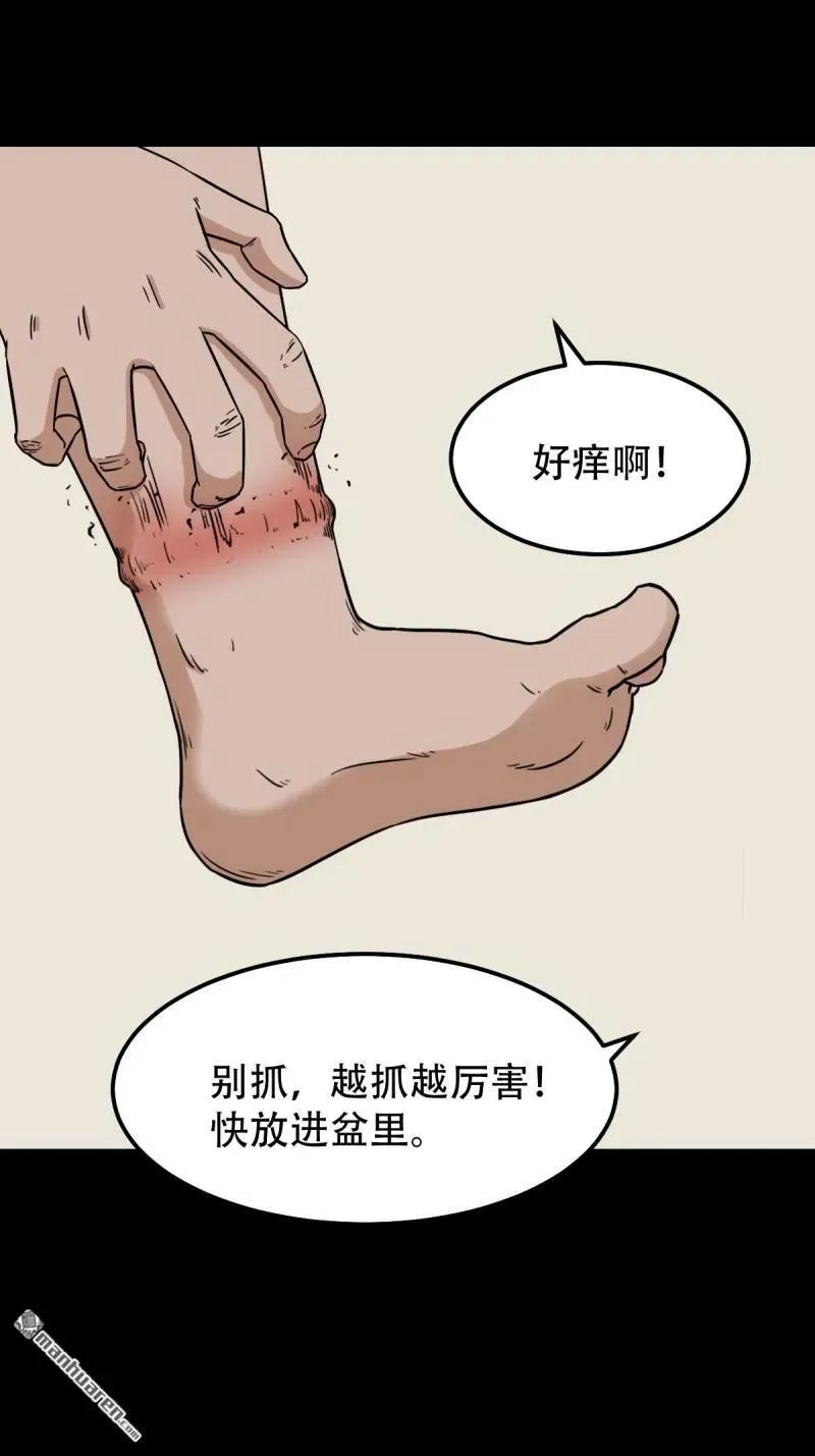第265回 小金童 第11页