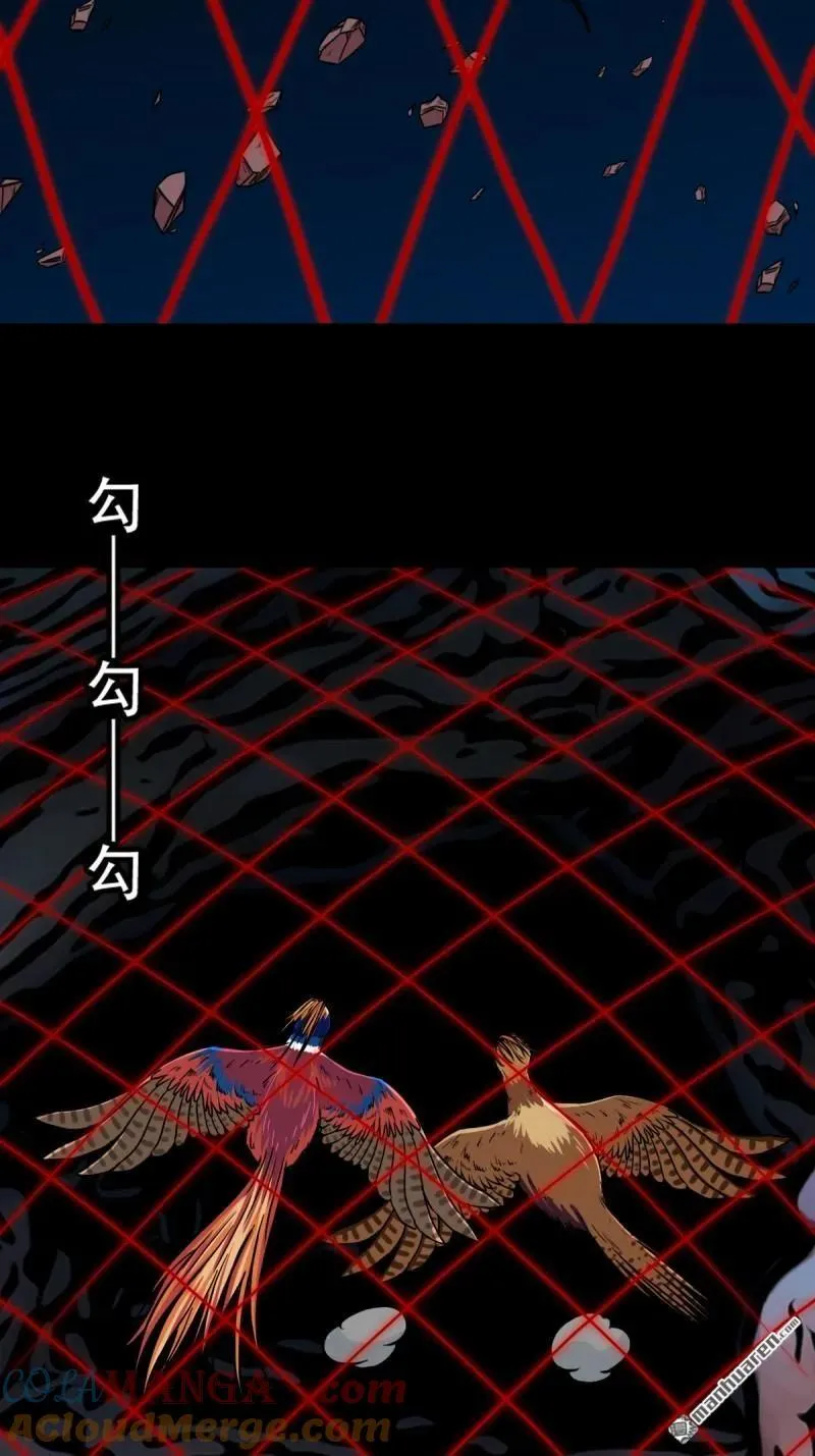 第273回 疾病天罗·下 第43页