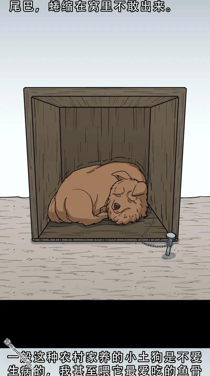 第278回 鸡橛痣 第5页