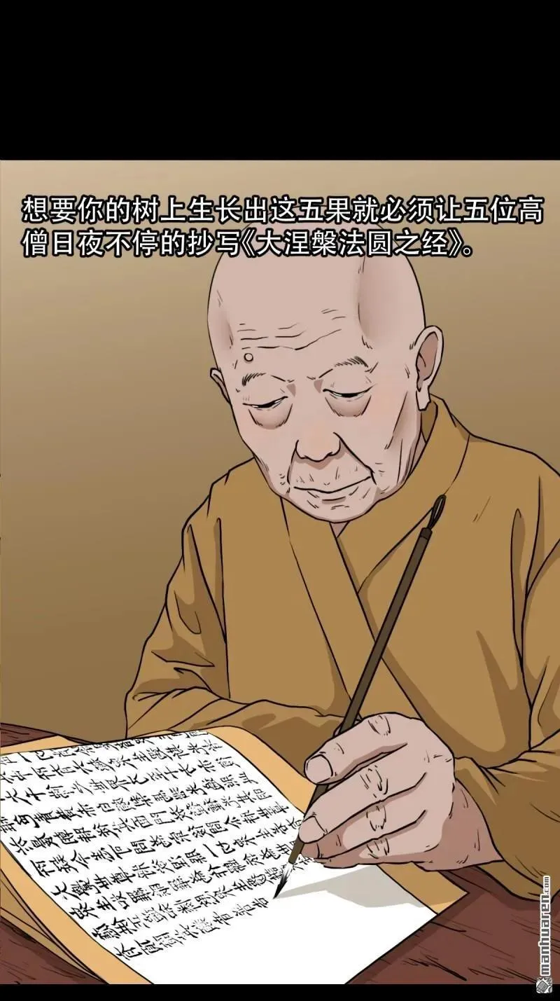 第295回 缘生五果 第42页