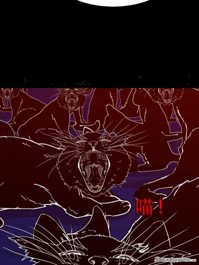 第315回 七政四余 第45页