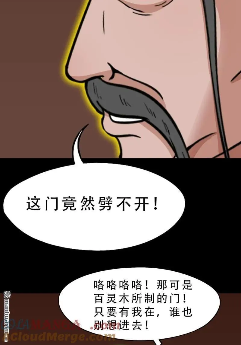 第319回 眉心雷 第13页