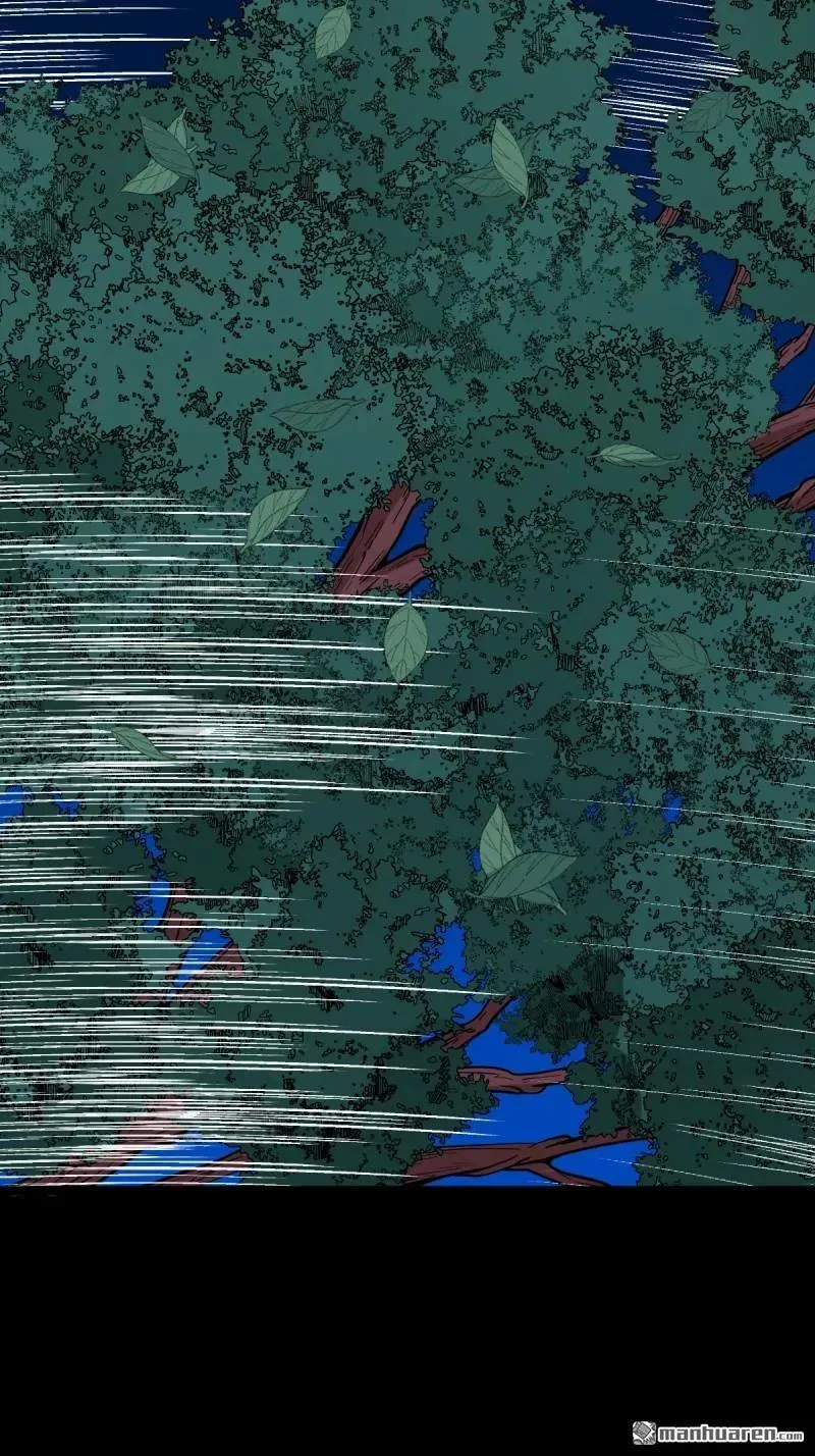 第348回 风地观 第45页