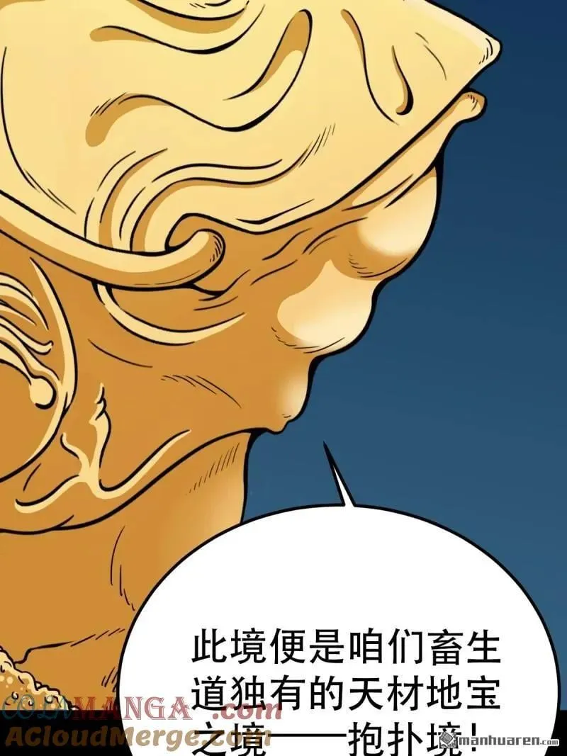 第377回 百宝岛 第16页