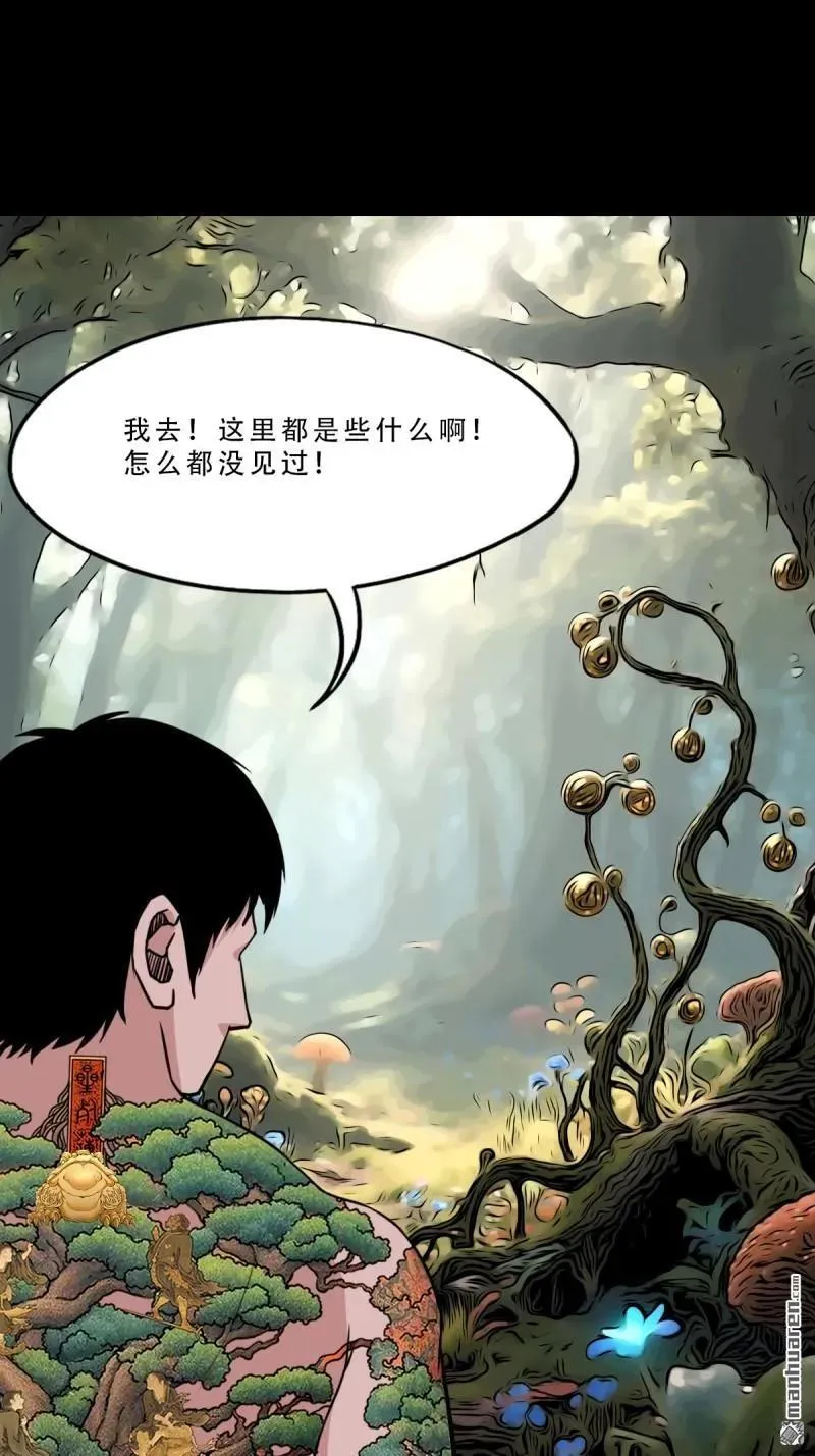 第377回 百宝岛 第24页
