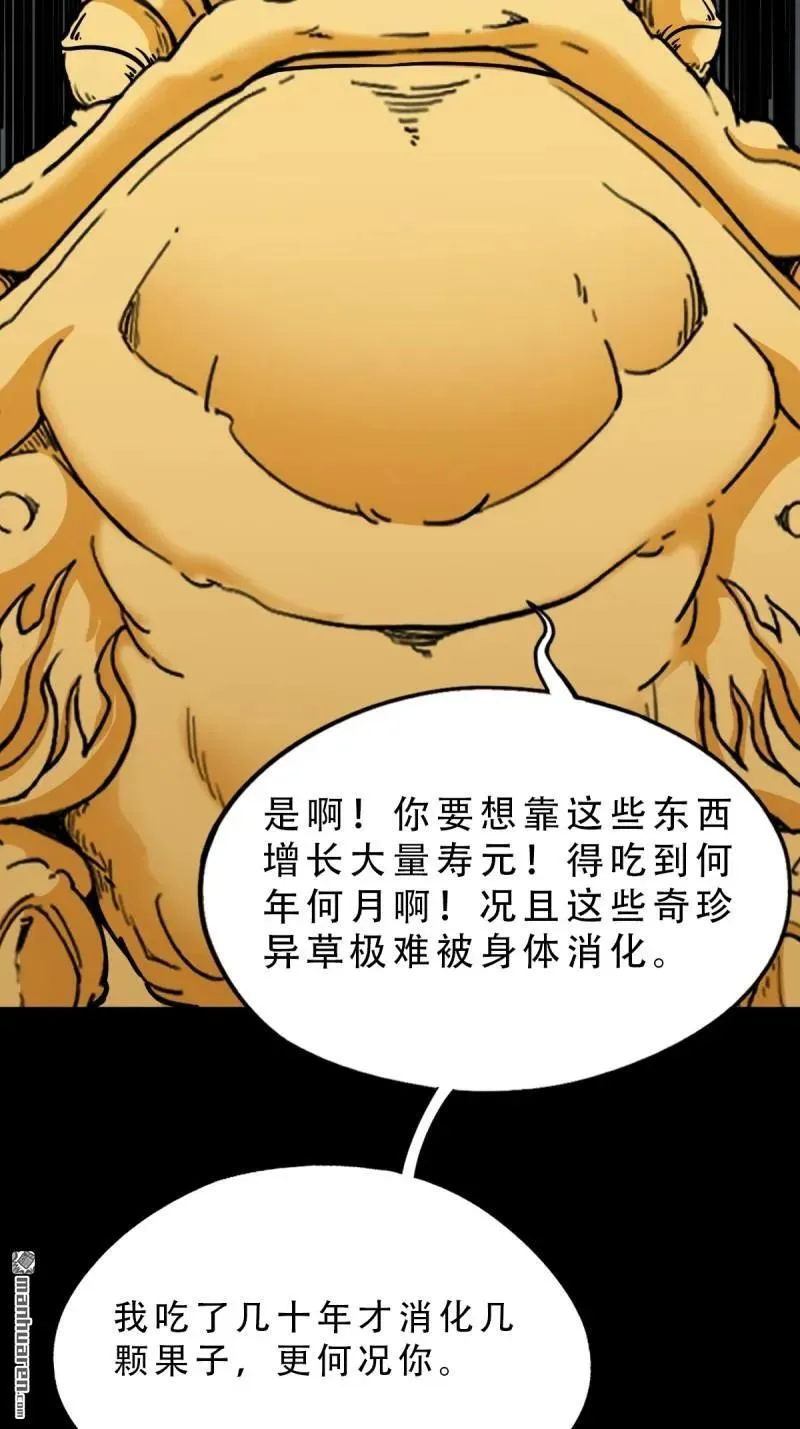 第377回 百宝岛 第29页