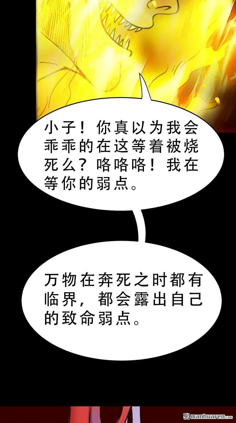 第377回 百宝岛 第42页