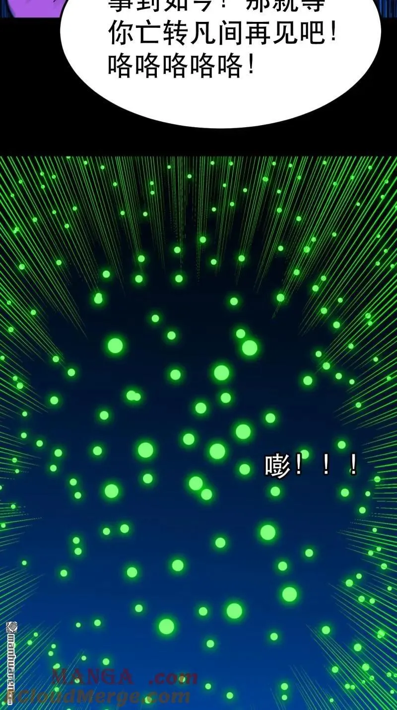 第382回 张家之仇 第13页