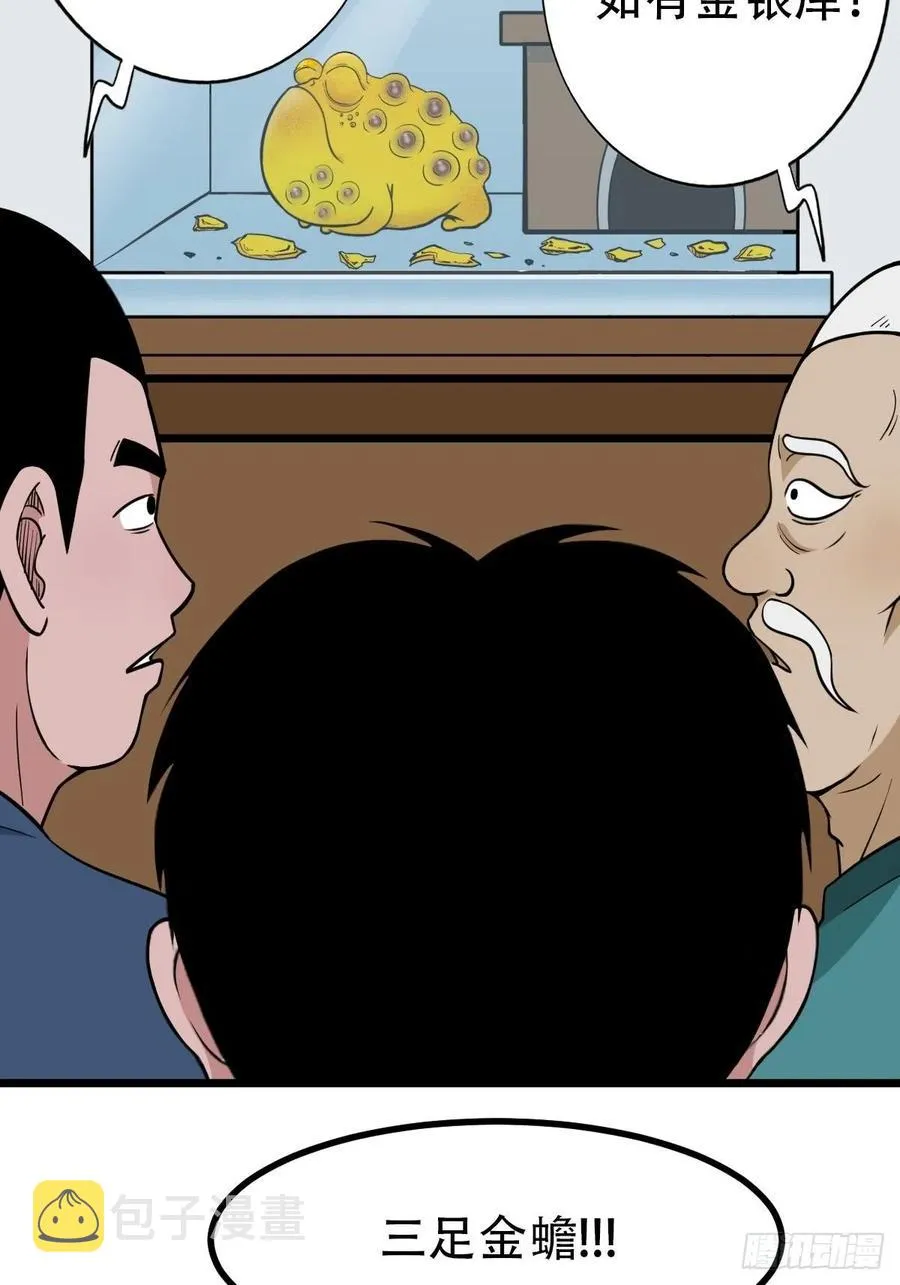 金蟾衣 第3页