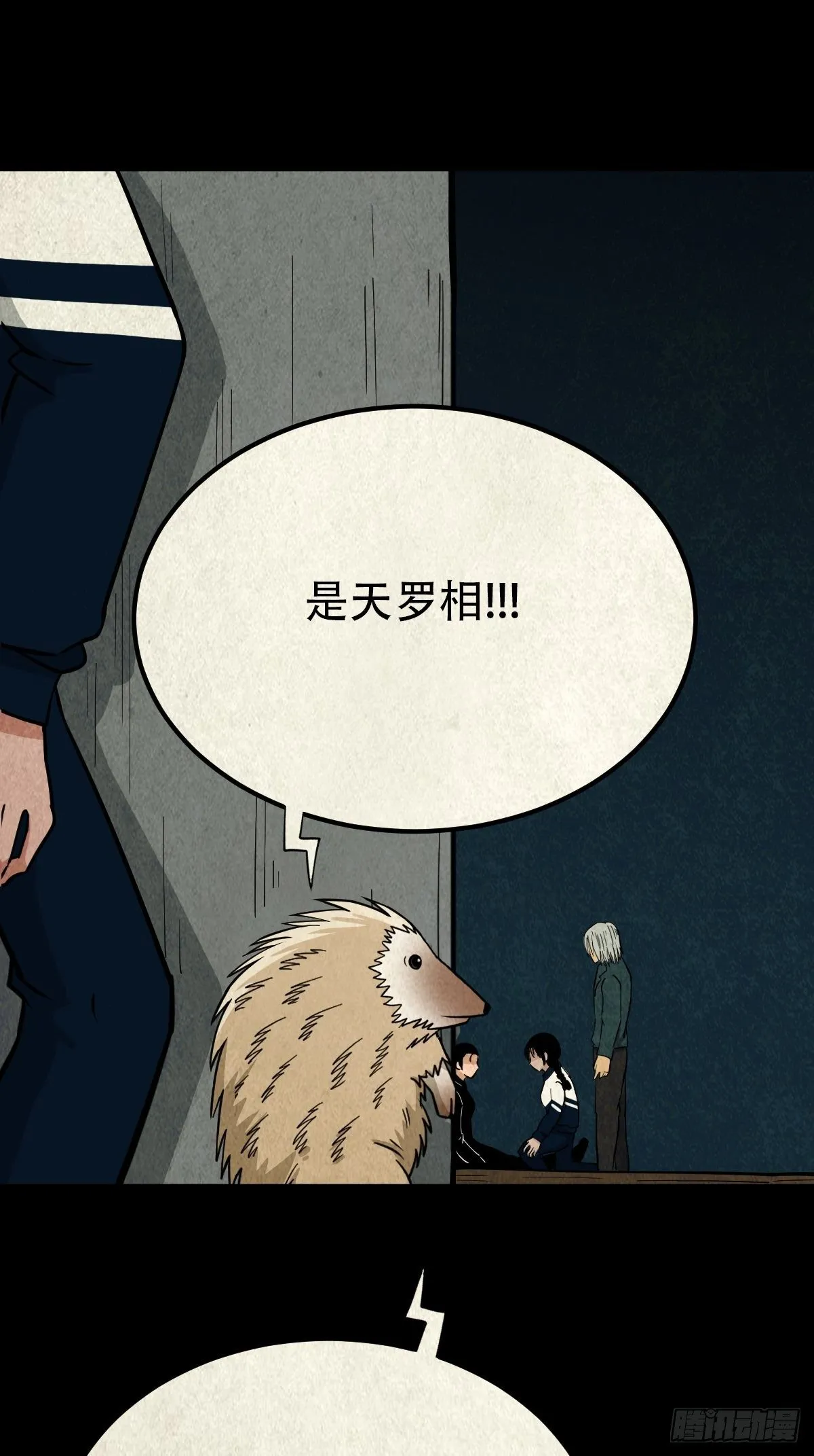 败退天罗 第13页