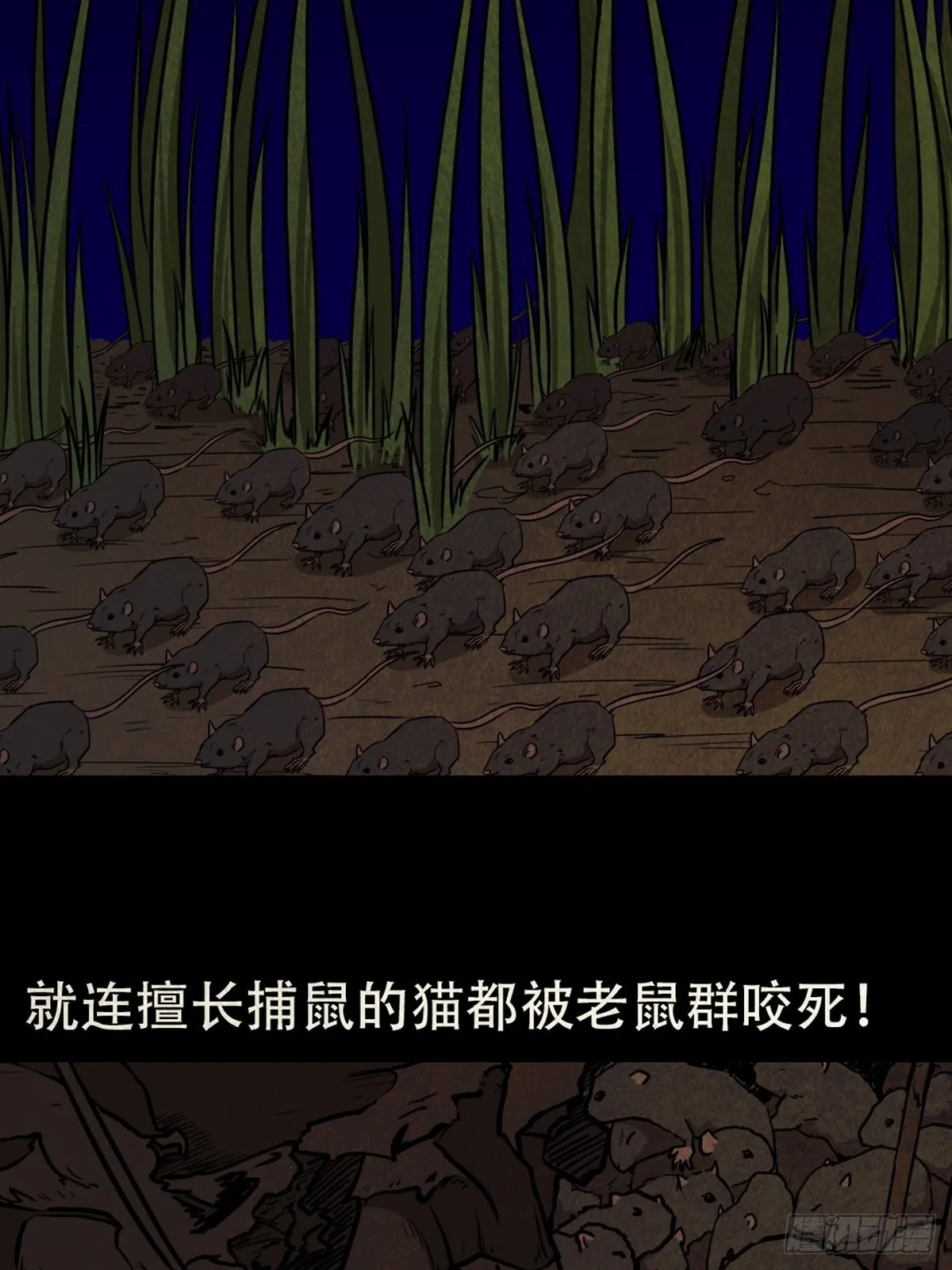 怪鸮 第37页