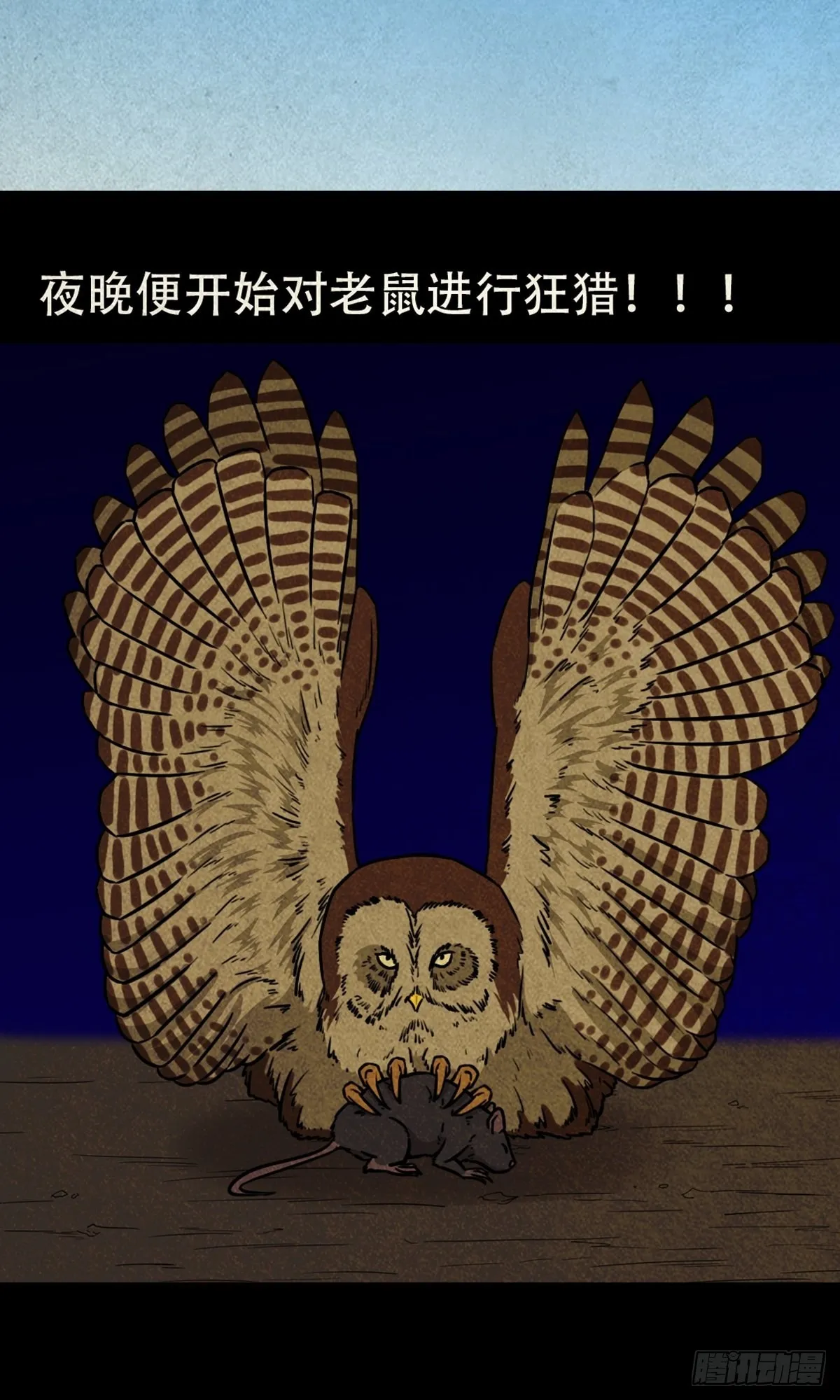 怪鸮 第44页