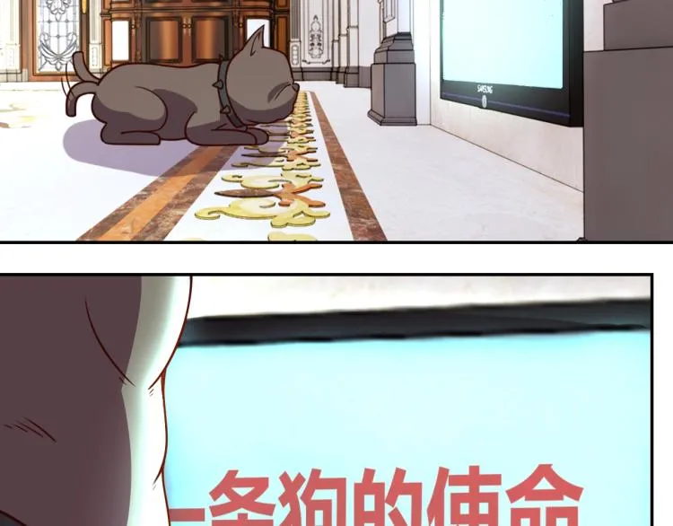 第37话 背后的人 第91页