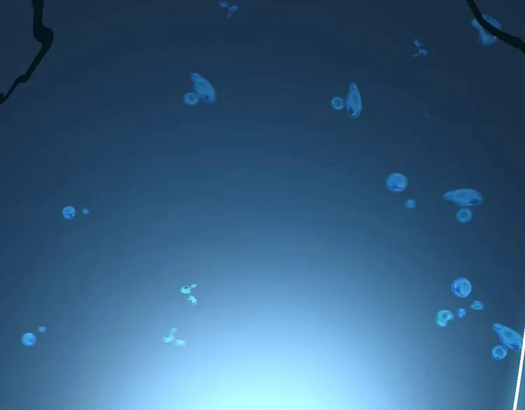 序章：脂肪兑换异能，你能换几斤 第20页