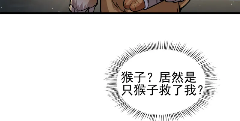 81 第24页