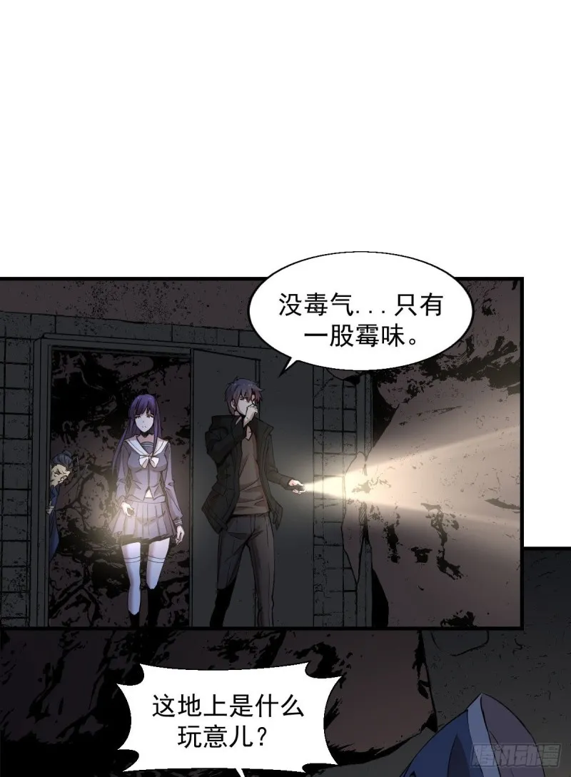 155 第17页