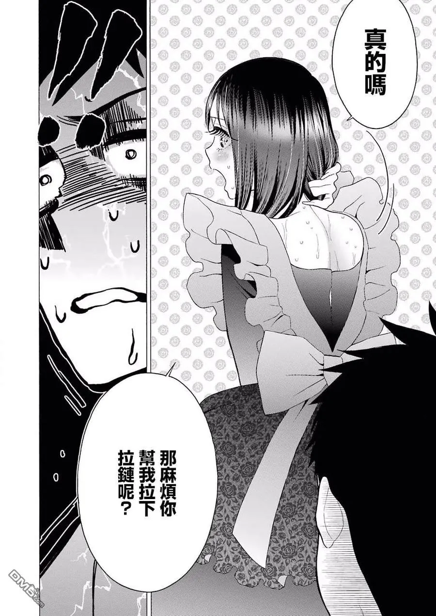 13 13 第11页