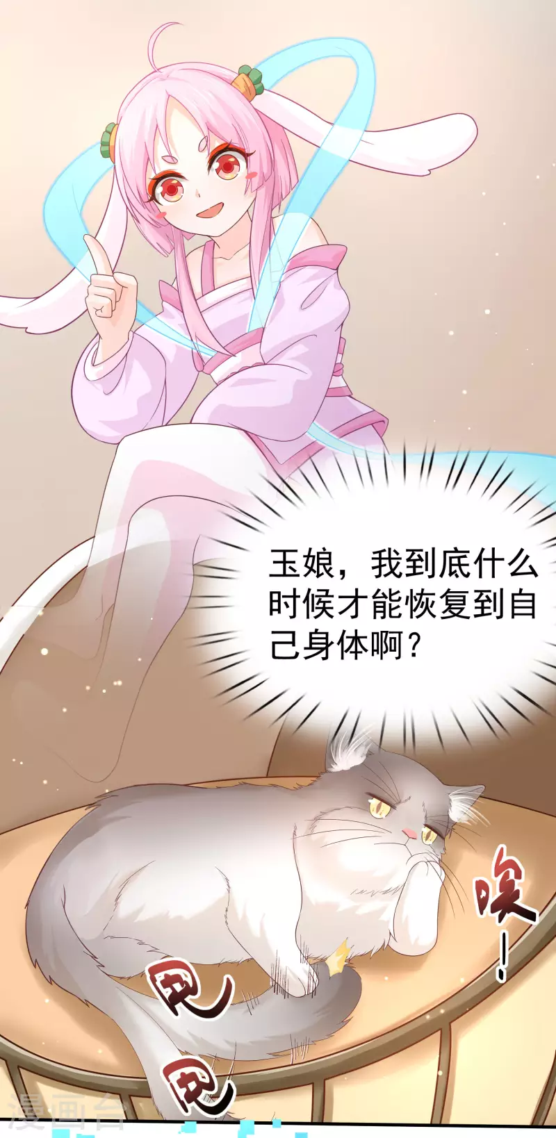 第11话 猫的福利你想象不到 第2页