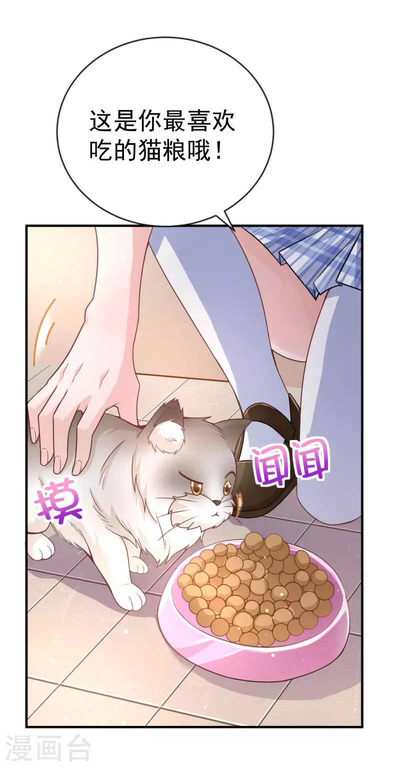 第11话 猫的福利你想象不到 第5页