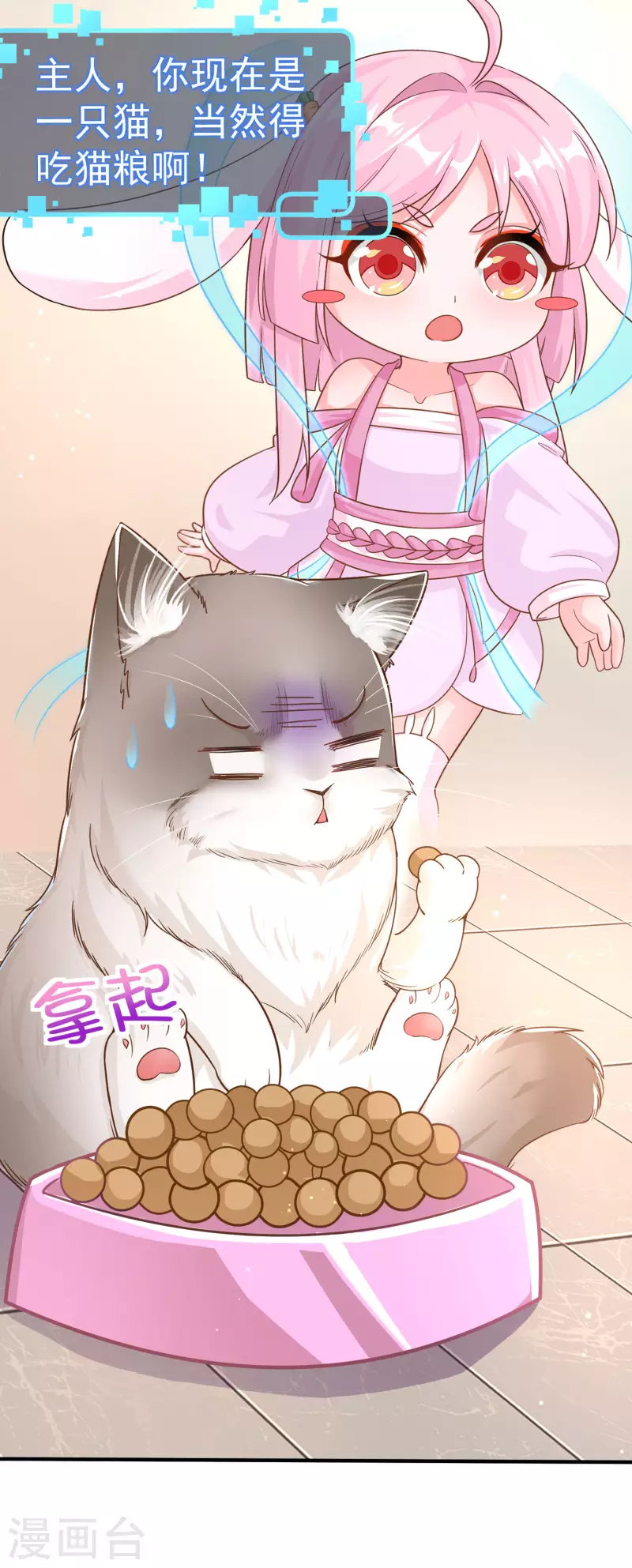 第11话 猫的福利你想象不到 第7页