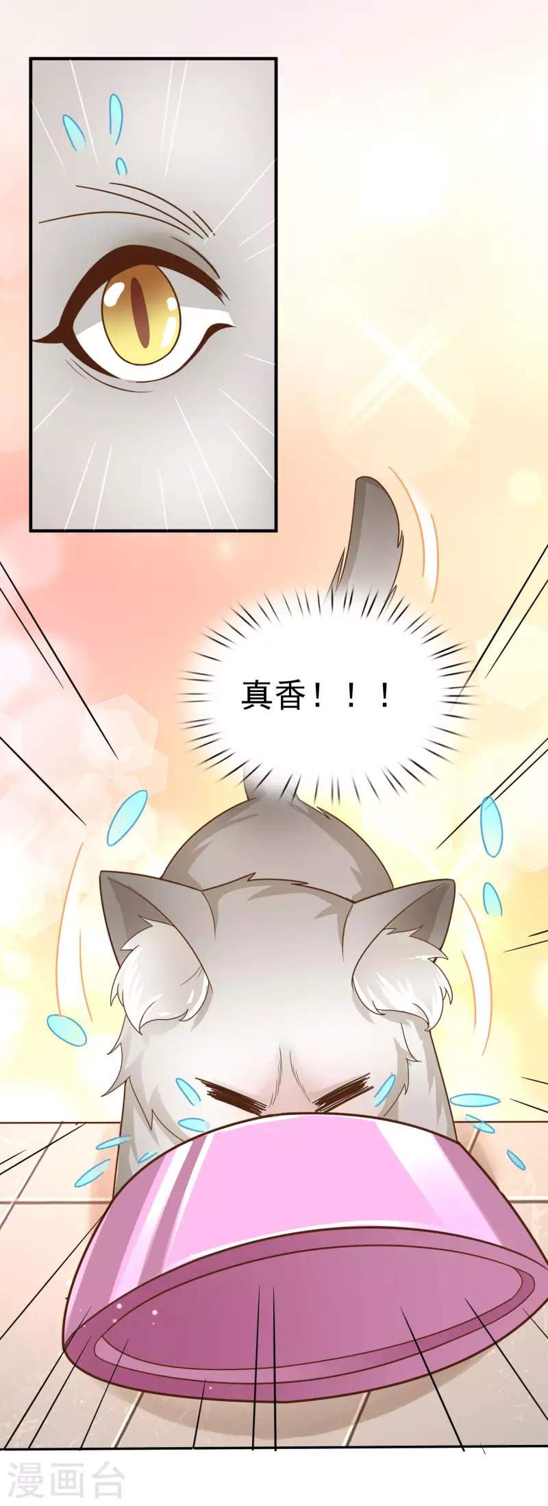 第11话 猫的福利你想象不到 第11页