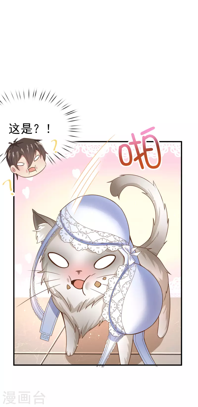 第11话 猫的福利你想象不到 第12页