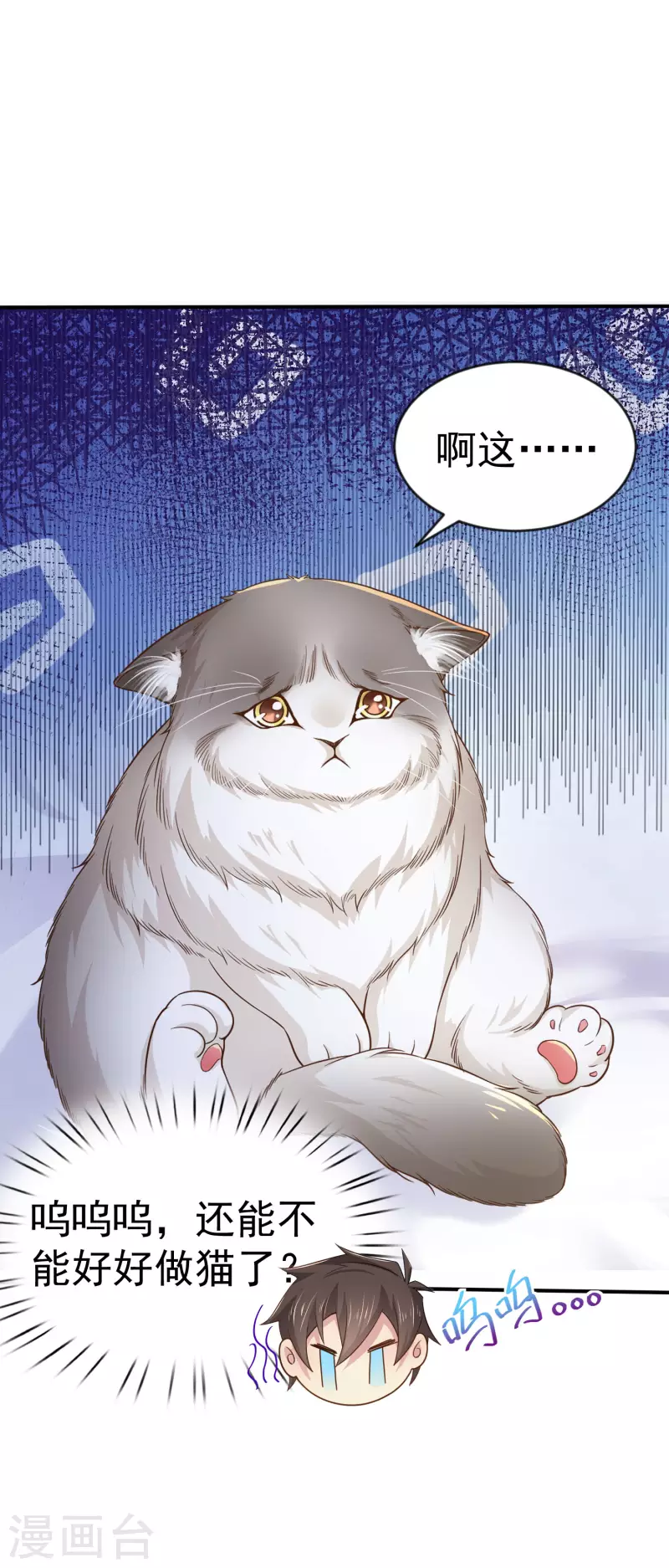 第11话 猫的福利你想象不到 第30页