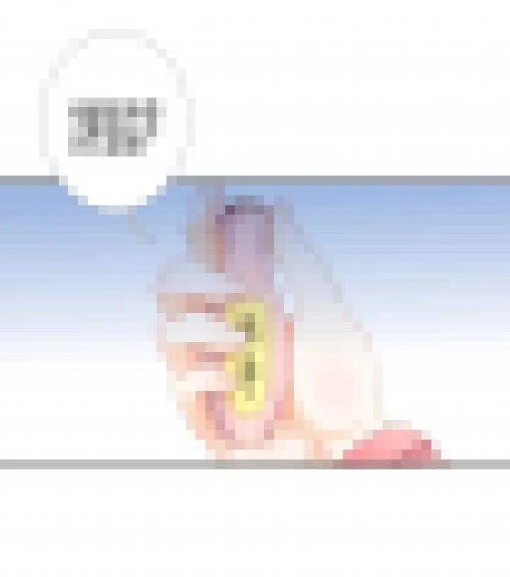 104 把俺放心里吧 第45页