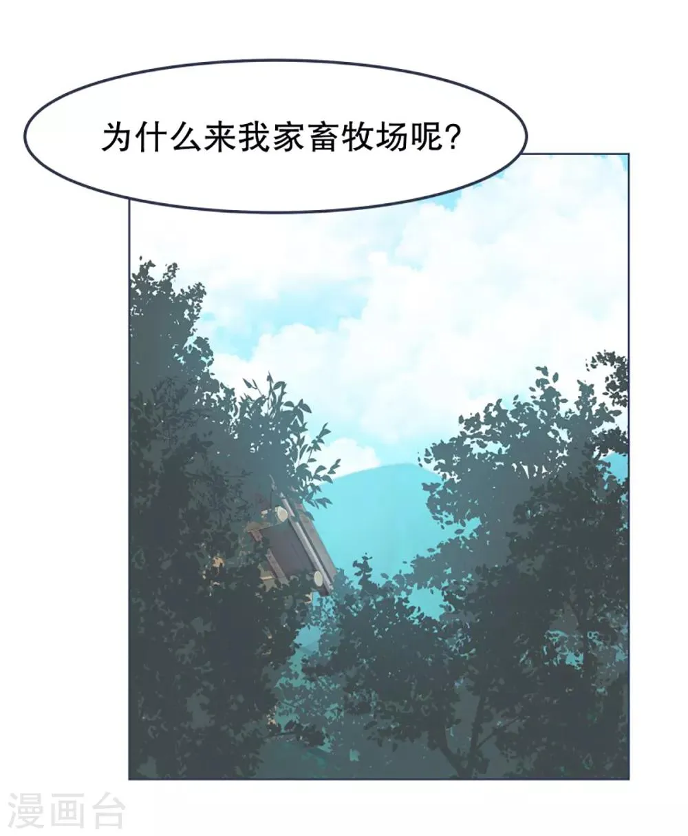 第4话 万物皆可萌 第4页