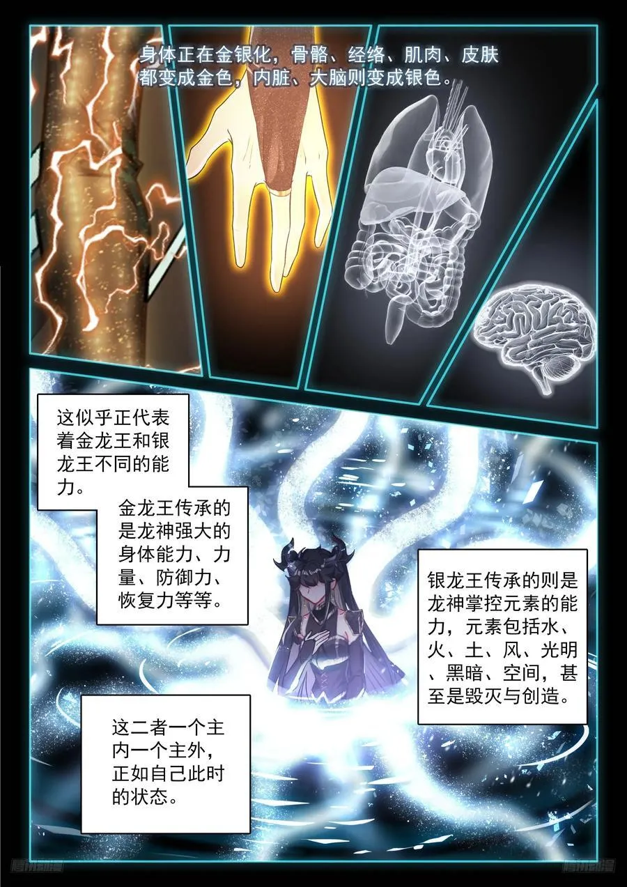 轩宇渡劫 第10页