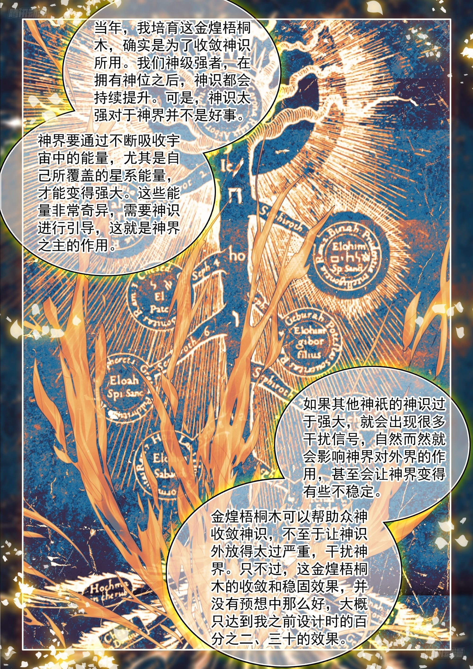 金煌梧桐木 第5页