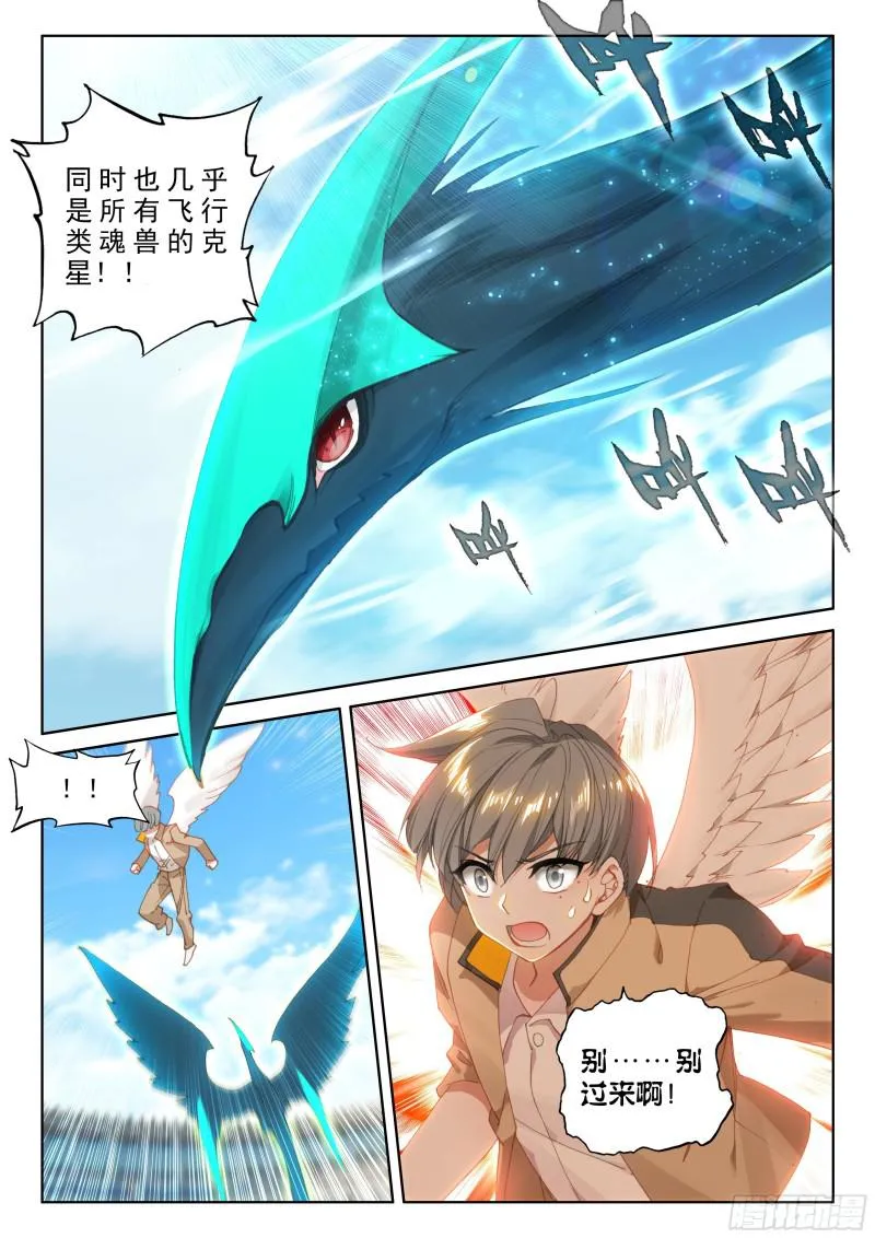 翠魔鸟 第11页