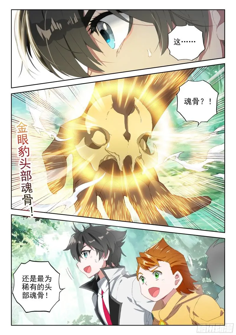 金眼豹头部魂骨 第17页