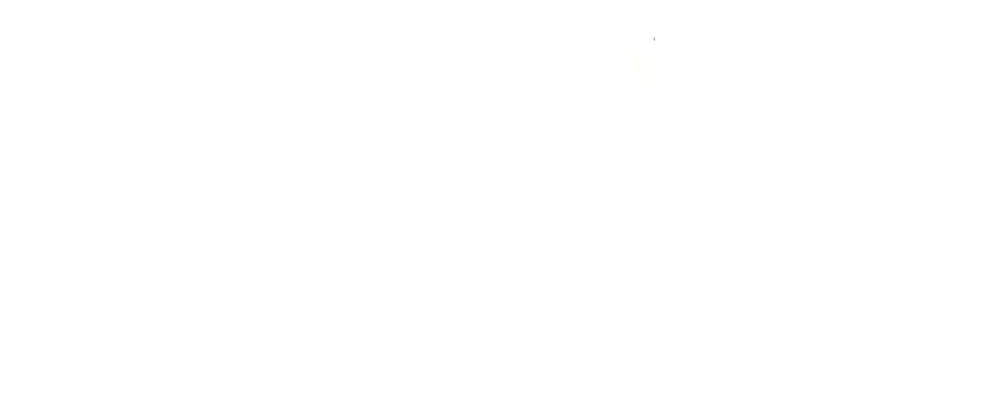 377 携手同行 第115页