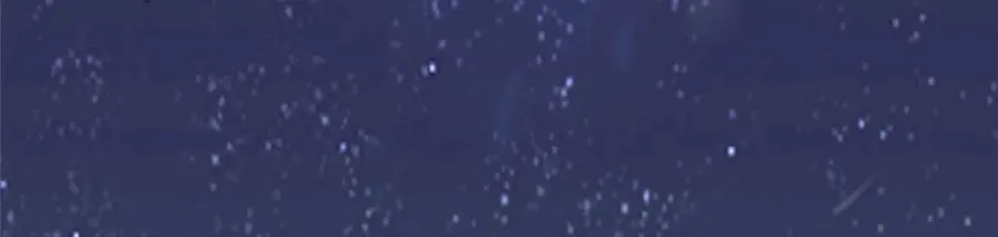 477 水上鲲鹏 第82页