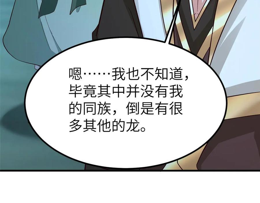481 伪龙之境 第35页