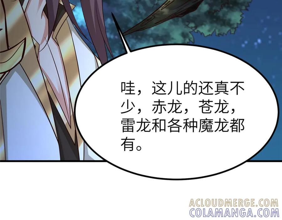 481 伪龙之境 第69页