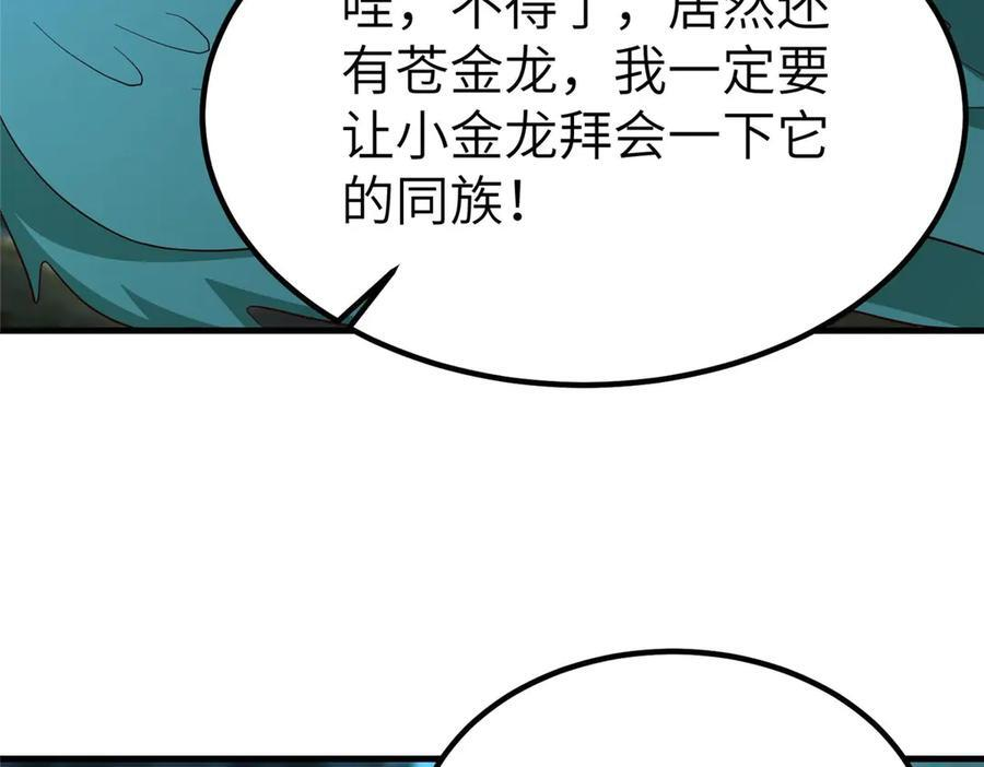 481 伪龙之境 第75页