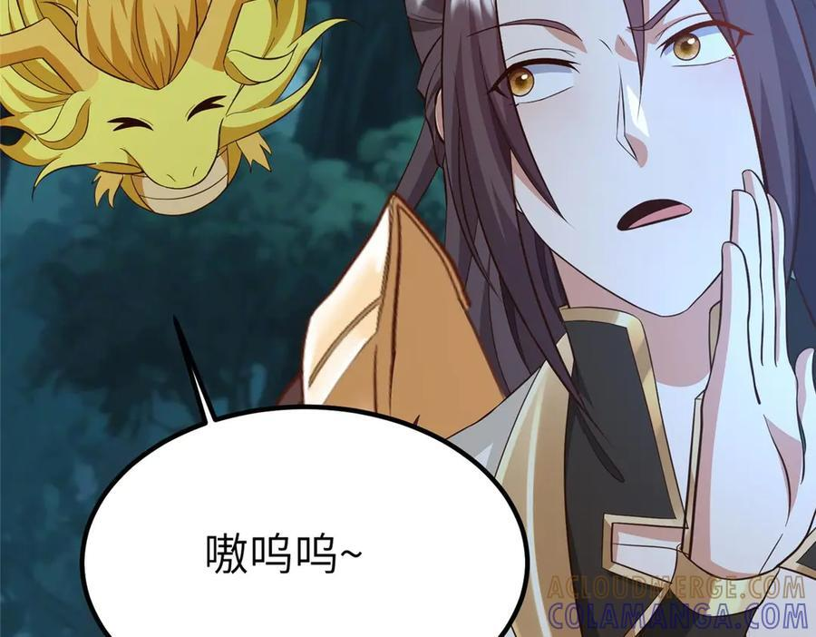 481 伪龙之境 第81页