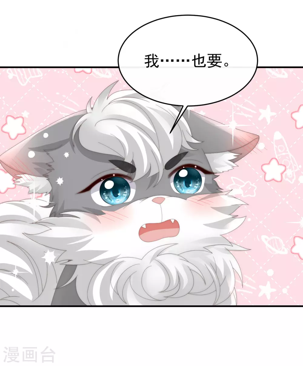 第85话 小动物也争宠？ 第5页