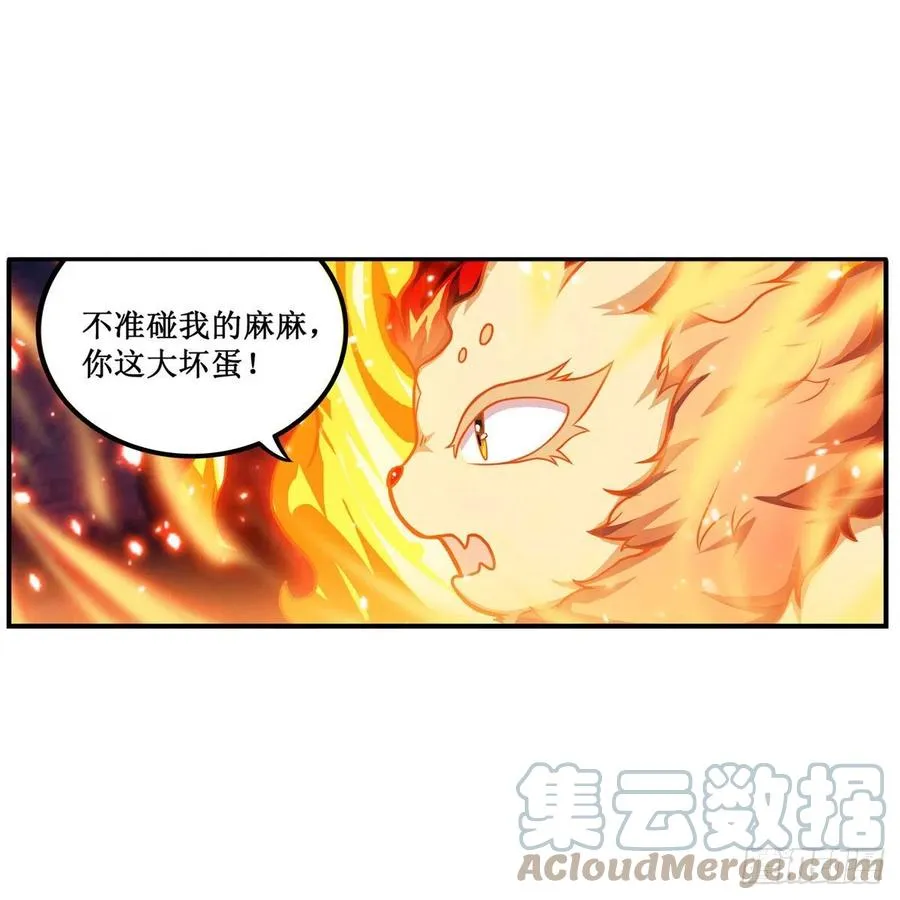 第204话 护身灵兽 第28页